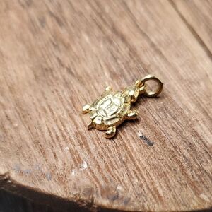 P280 14k Gold Turtle Pendant Charm